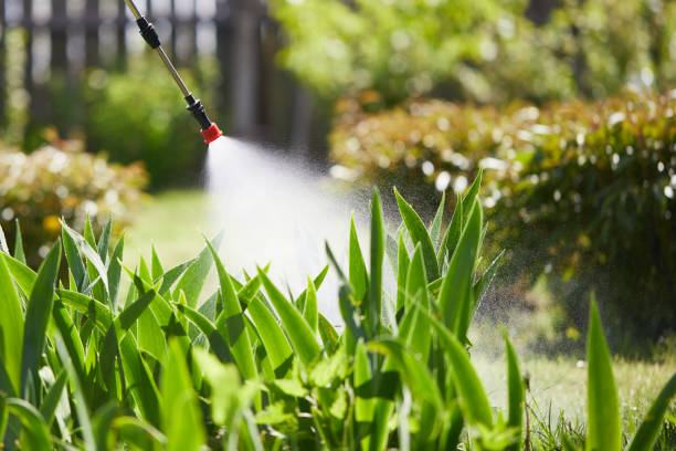 24/7 Emergency Mosquito Control experts in Rainsville, AL