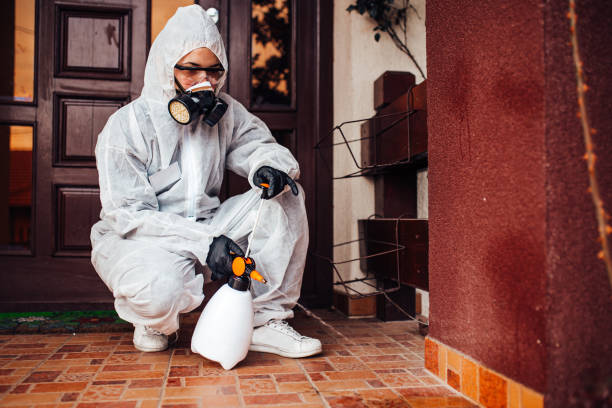 Reliable Mosquito Control contractor in Rainsville, AL by Show Me Pest Control